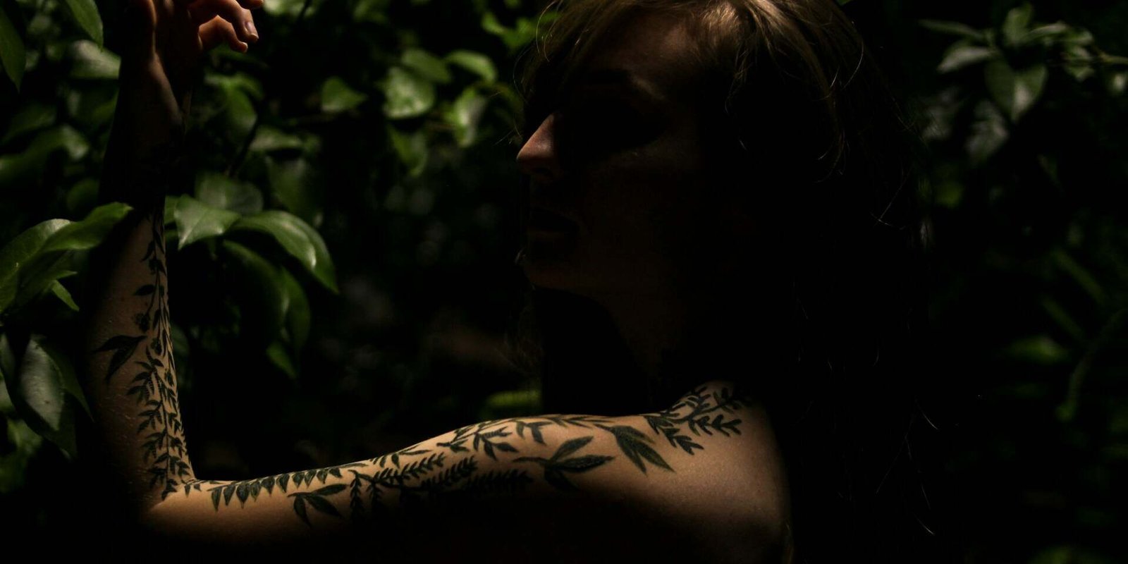 Embrace Nature's Bounty: The Remarkable Benefits of Natural Hair Care Products 5a672c4107dca15cf9d5cd02315563a4 uai