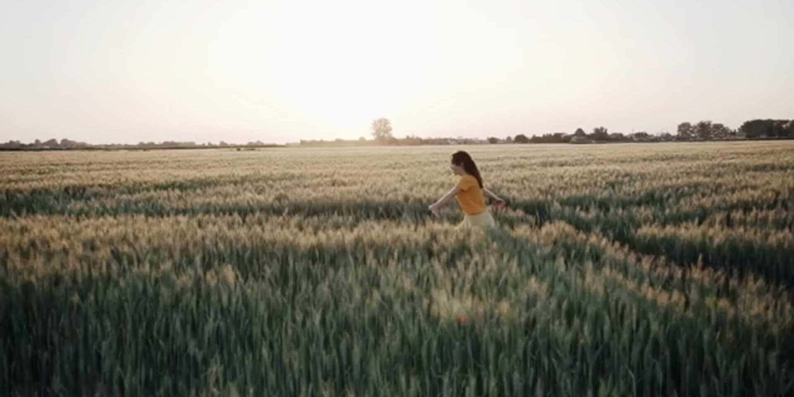 Harnessing the Power of Natural Ingredients for Ultimate Summer Hair Health 752fde6d57db0b3acb85c04887f90e1c uai