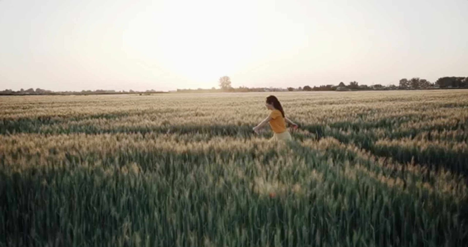 Harnessing the Power of Natural Ingredients for Ultimate Summer Hair Health 752fde6d57db0b3acb85c04887f90e1c