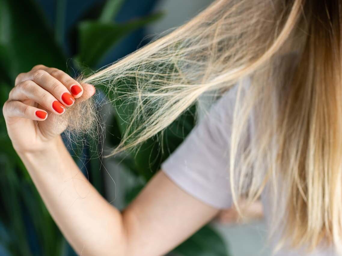 Shedding vs breakage hair check with trichologist