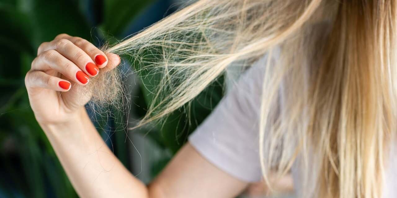Shedding vs breakage hair check with trichologist