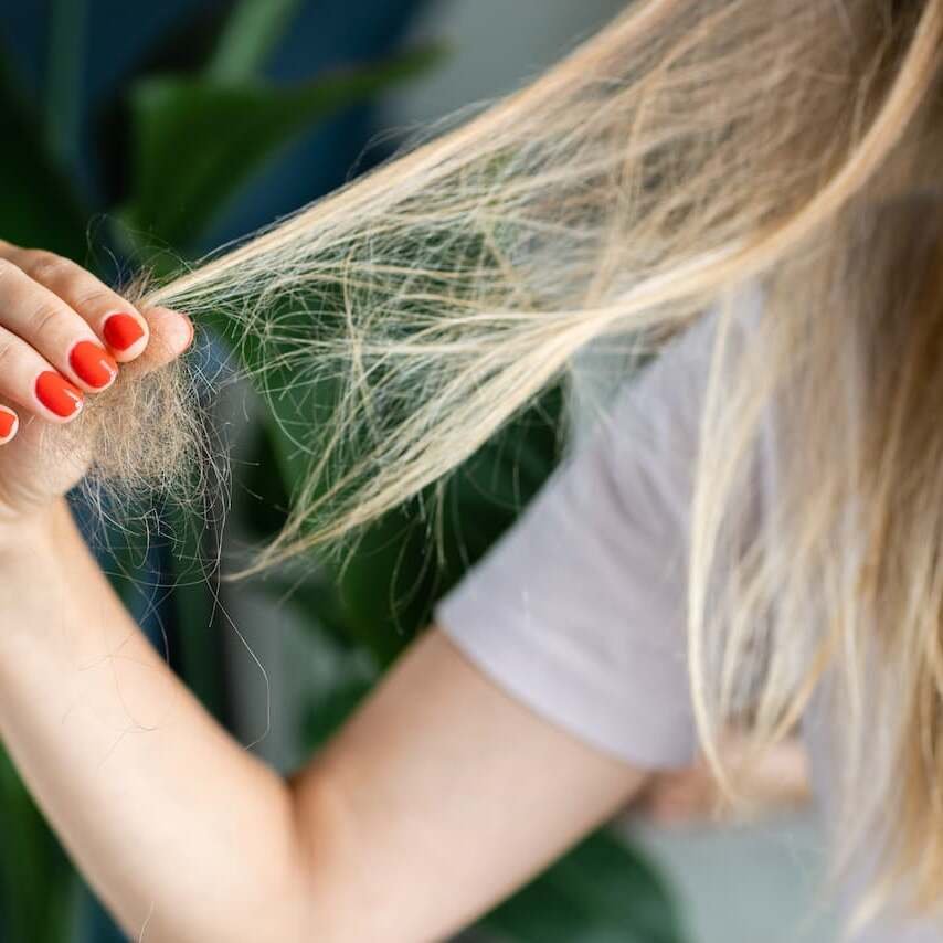 Shedding vs breakage hair check with trichologist